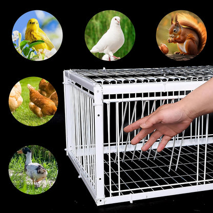 Cage-piège  portable pour oiseaux et pigeons - en métal